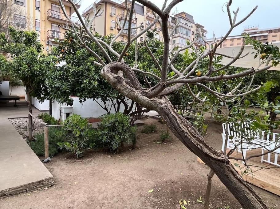 Casetta Bianca Palermo Luaran gambar